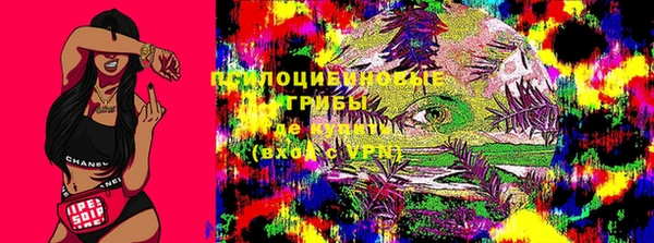 apvp Сафоново